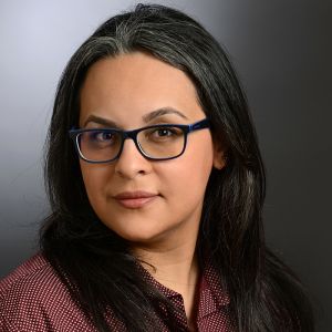 Mona Kamali Novin, VZM GmbH