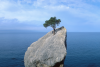 Business Resilience