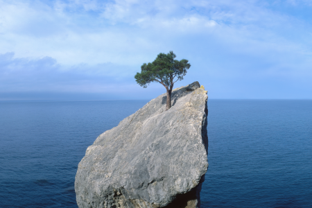 Business Resilience
